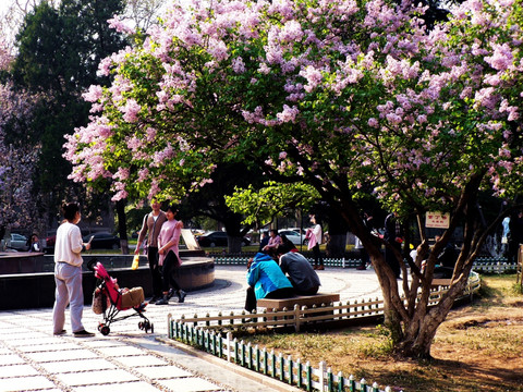 生活场景