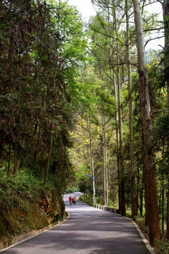 九峰山公园健康步道