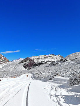 高原雪景