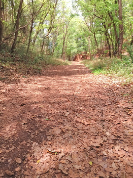 山间小路