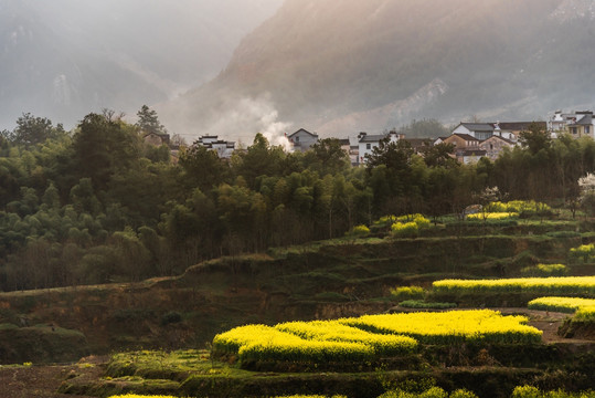 油菜花小路炊烟