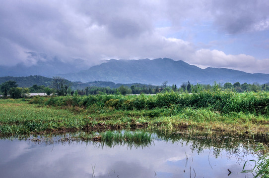 美丽田园