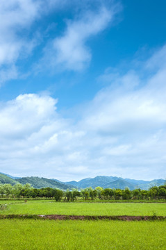 山野风光