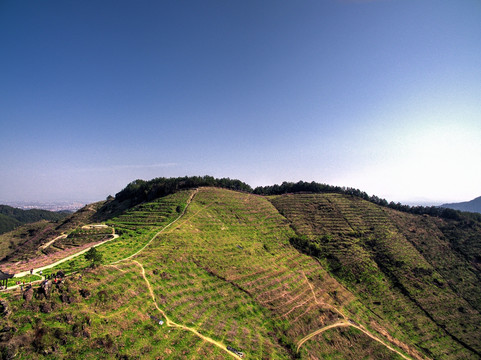 金华源东乡桃花源景区高山梯田