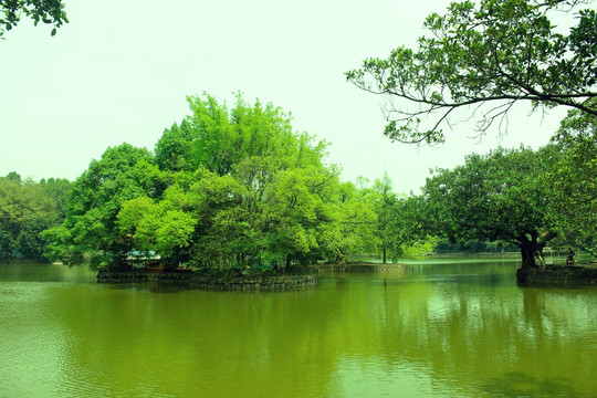 绿色湖水