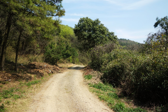 山间小路