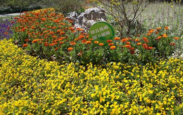 花圃 提示牌