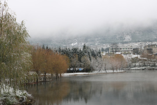 风景