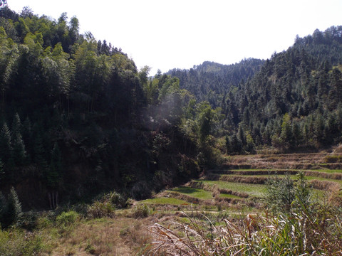 山间田地