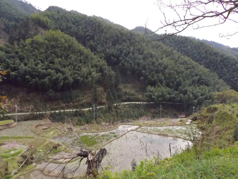 高山田地