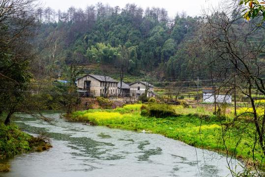 雨中的婺源风景