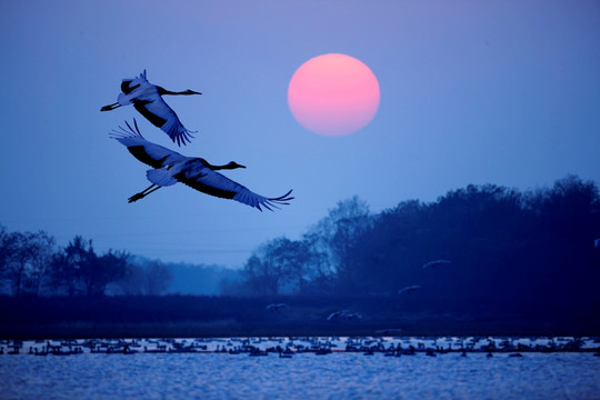 鄱阳湖