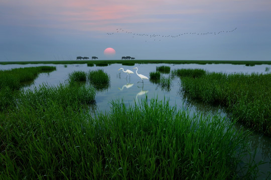 湖畔美景