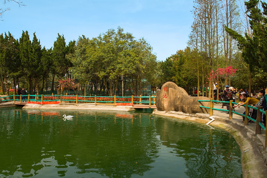 八里河风景区