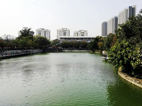 深圳市横岗人民公园