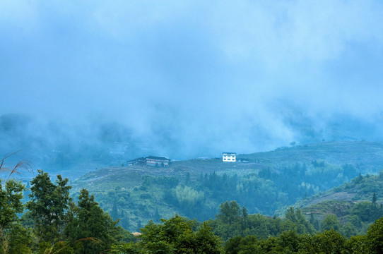 雾色山景