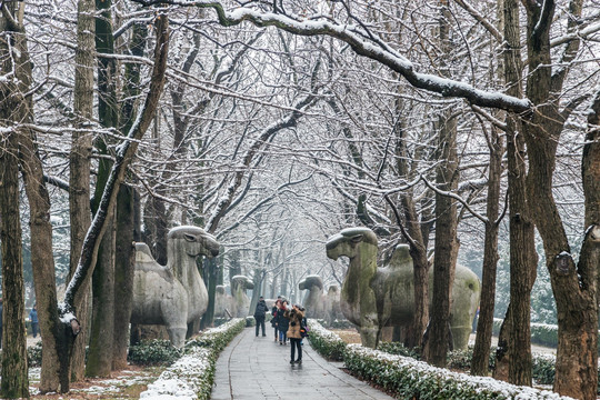 南京明孝陵石像路雪景