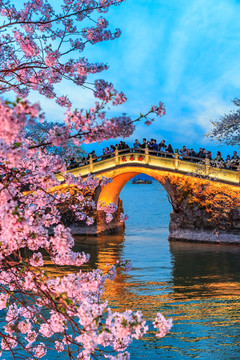 鼋头渚 太湖夜景