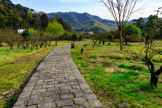 公园道路 青山