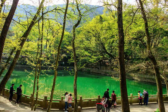 寺院放生池