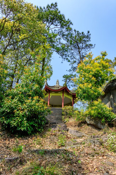 爬山路 登山道