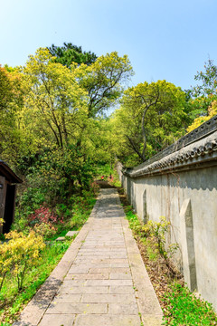 爬山路 登山道