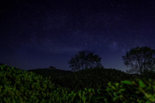 星空茶园 银河 茶山