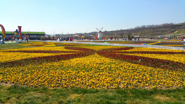 花博会