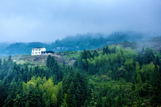 雾色山景