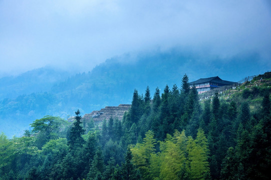 雾色山景