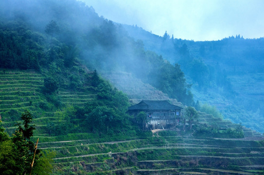 雾色山景