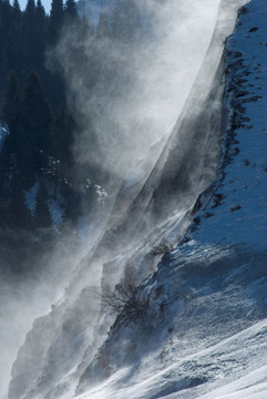 风吹雪