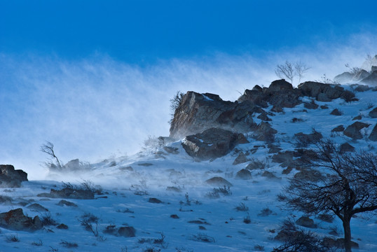 风吹雪