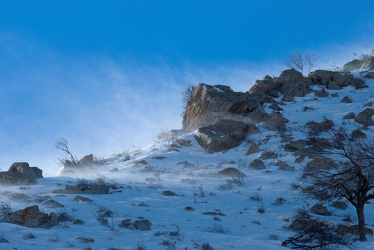 风吹雪