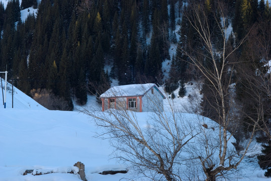 山雪