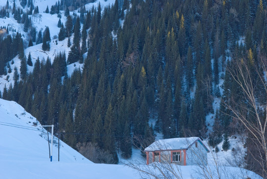 山雪