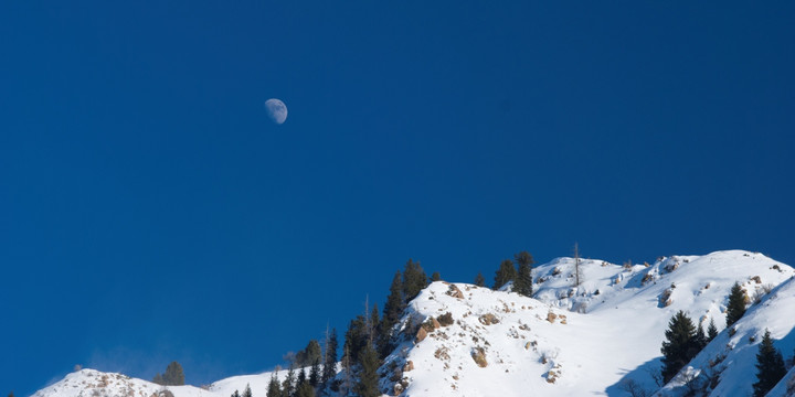 山雪