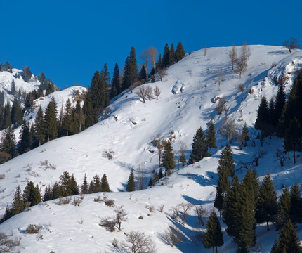 雪后天山