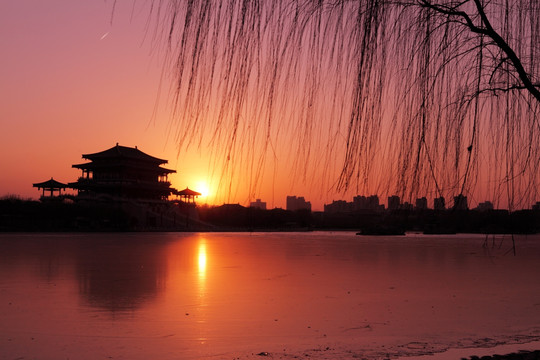 大唐芙蓉园夜景