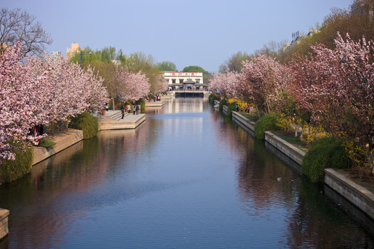 北京海棠花溪