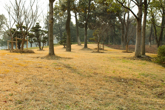 苏州古城区 健身步道