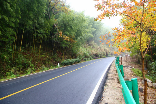 塔川公路秋色