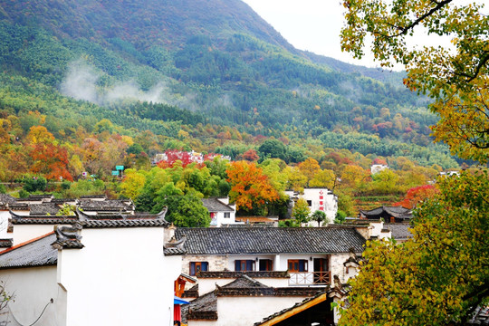 塔川山村秋色