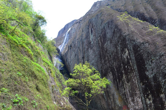 武夷山