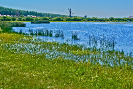 草原湿地