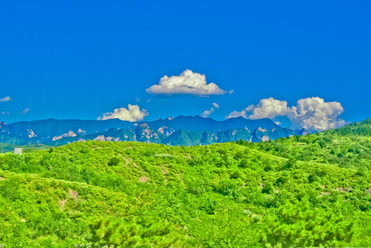 青山绿水