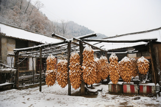 山村雪景