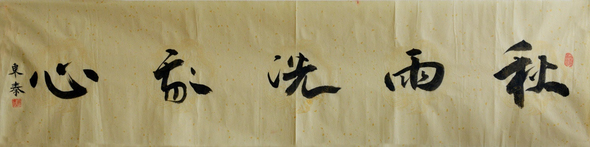 秋雨洗家心書法設計