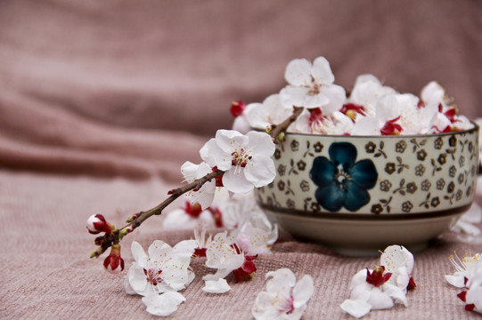 杏花瓷碗古风意境摄影图片素材