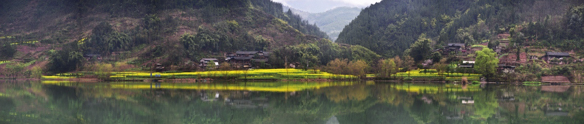 乡村油菜花